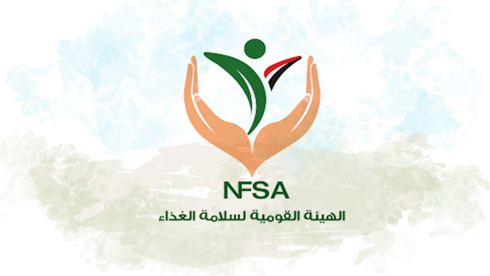 الهيئة القومية