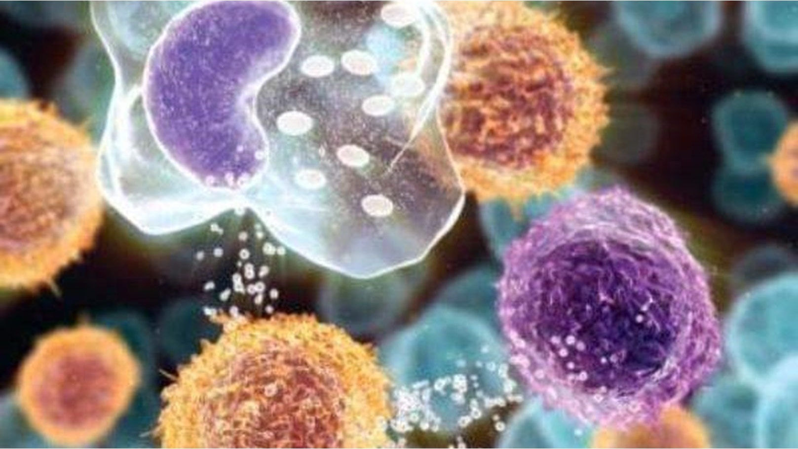 FB_IMG_1717136479393