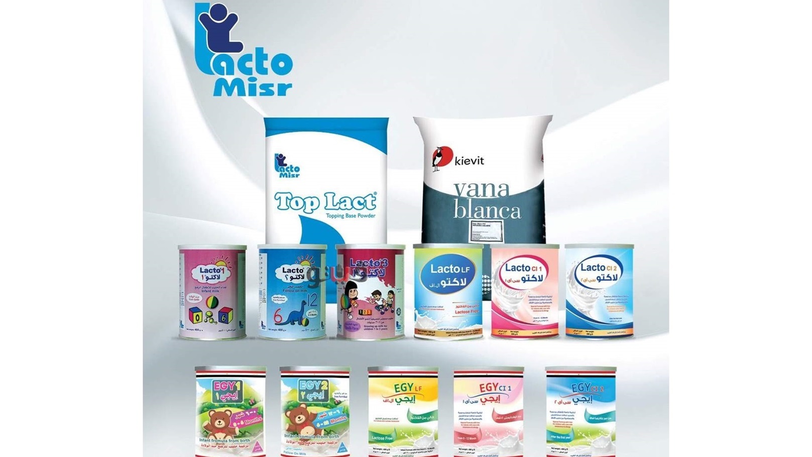 ee8768b8-e354-4689-898d-fafb5dbc1353