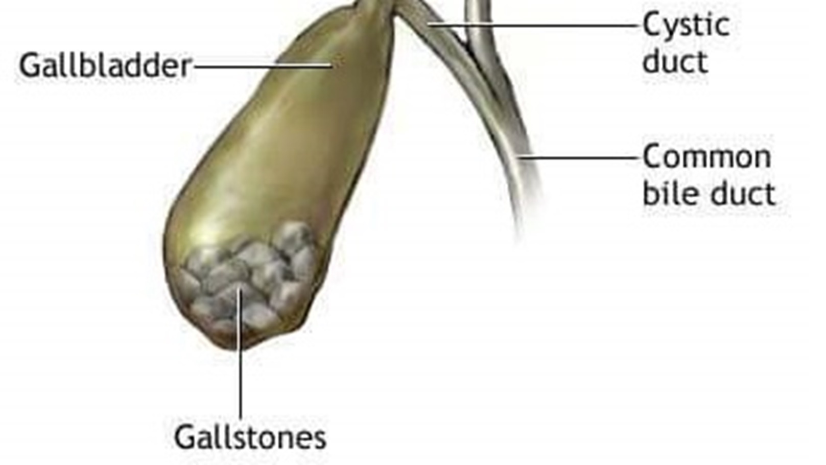 FB_IMG_1717381030896