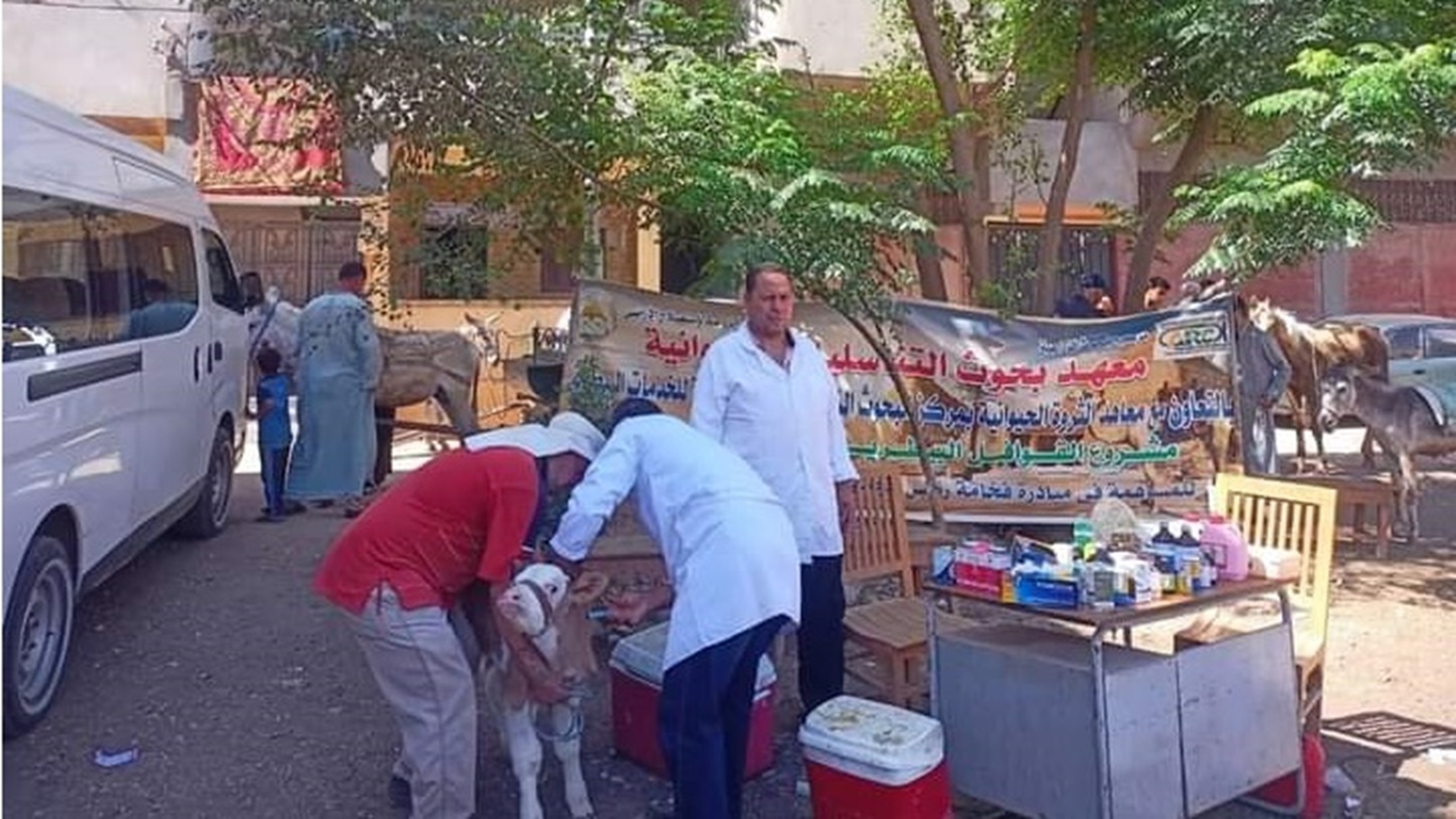 FB_IMG_1717672765566