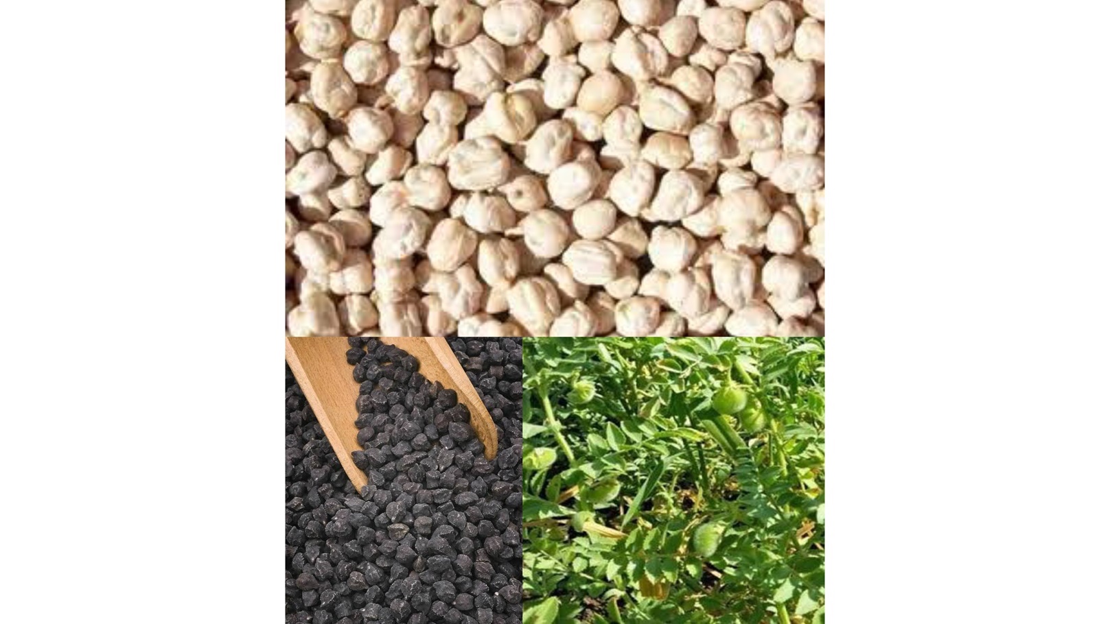 IMG_٢٠٢٤٠٦٠٧_١٩٠٠٠٨