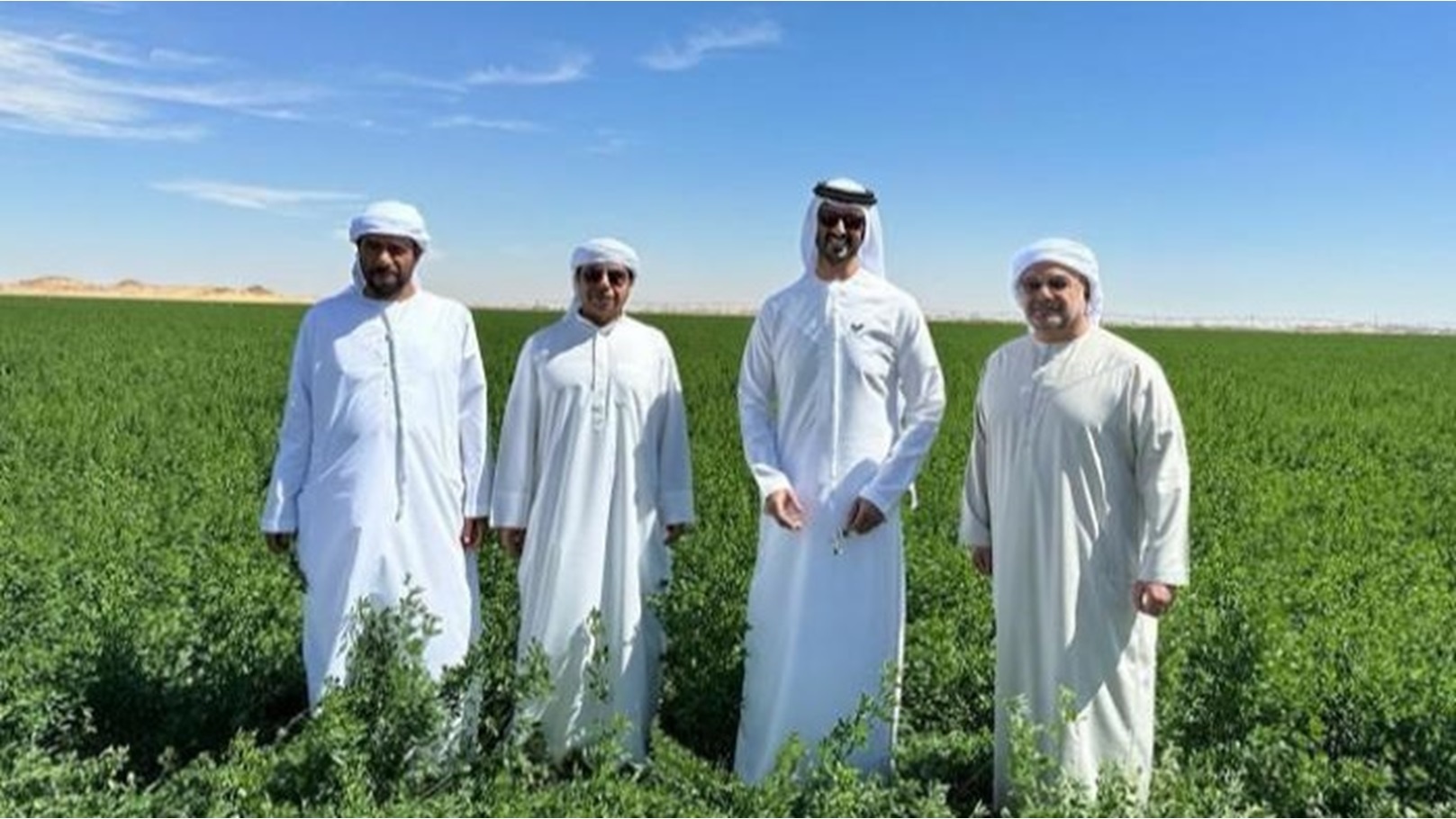 195-180738-uae-expanding-egypt-cultivation-of-feed-and-grains_700x400