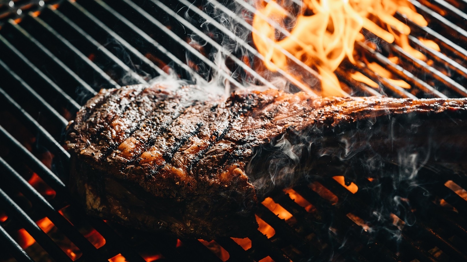 grilled-meat-2022-03-05-16-16-58-utc