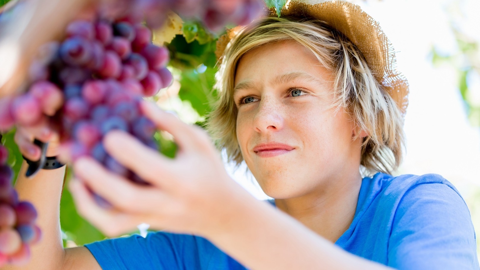 boy-in-vineyard-2022-02-02-05-04-57-utc