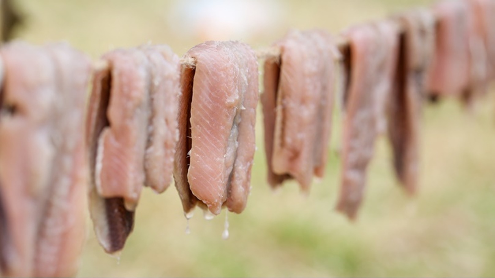 السورسترومينج 2