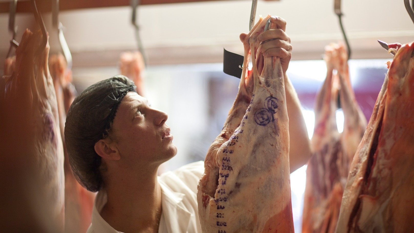 butcher-inspecting-meat-2022-03-07-23-57-15-utc