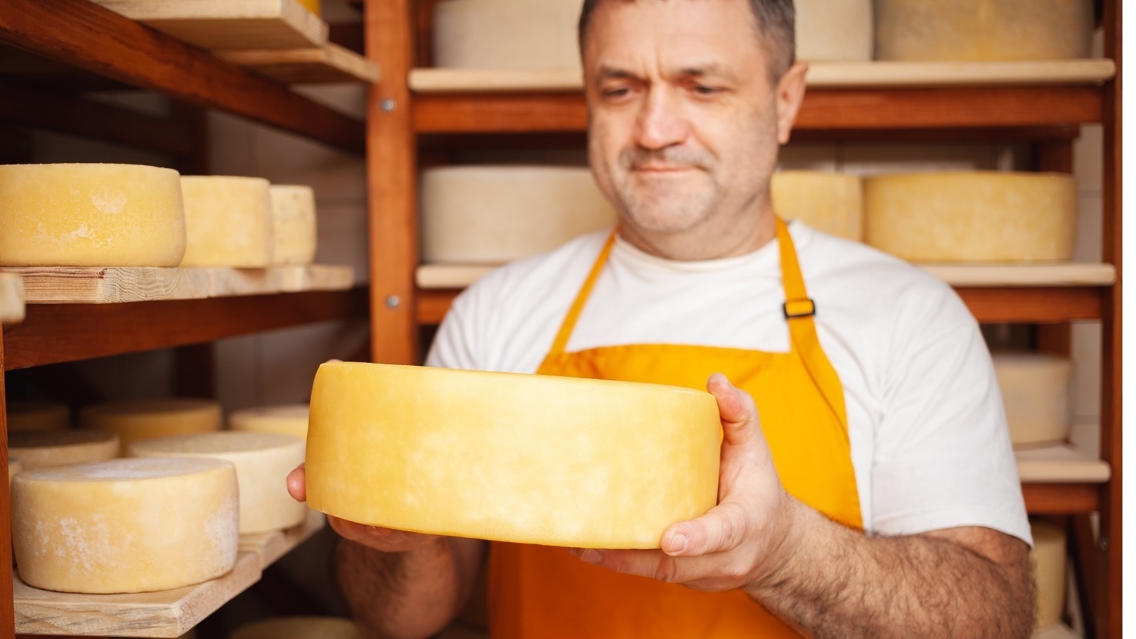 portrait-of-cheesemaker-in-cellar-basement-home-2022-01-19-00-21-47-utc