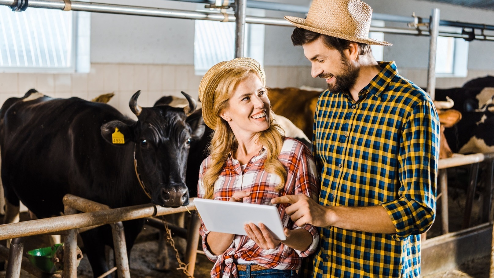 smiling-couple-of-farmers-using-tablet-in-stable-w-2021-09-01-03-28-24-utc
