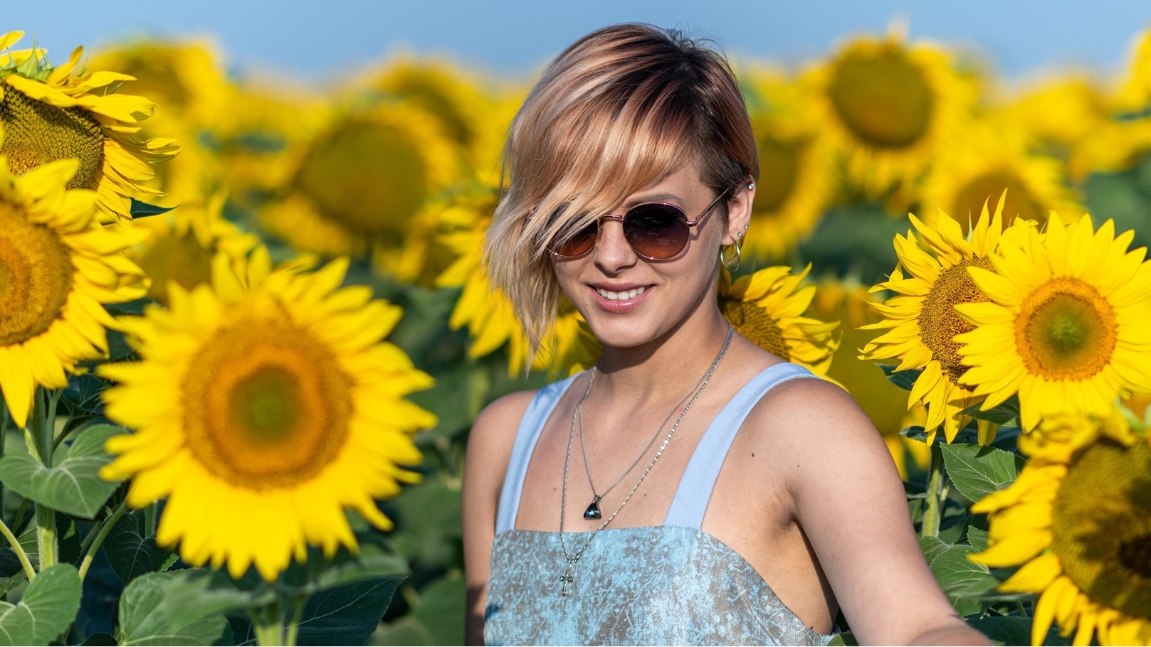 فوائد اللب السوري.. بذور عباد الشمس