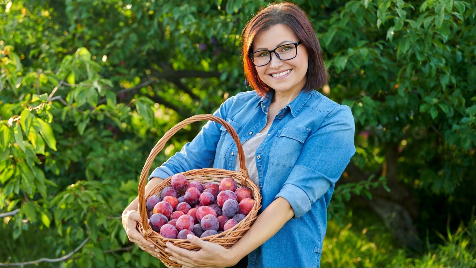 البرقوق - برقوق (1)