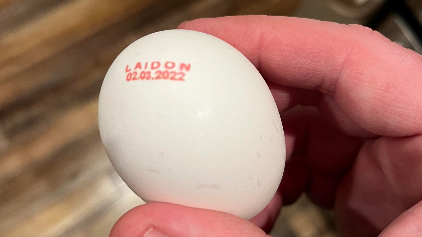 تاريخ الإنتاج على البيض