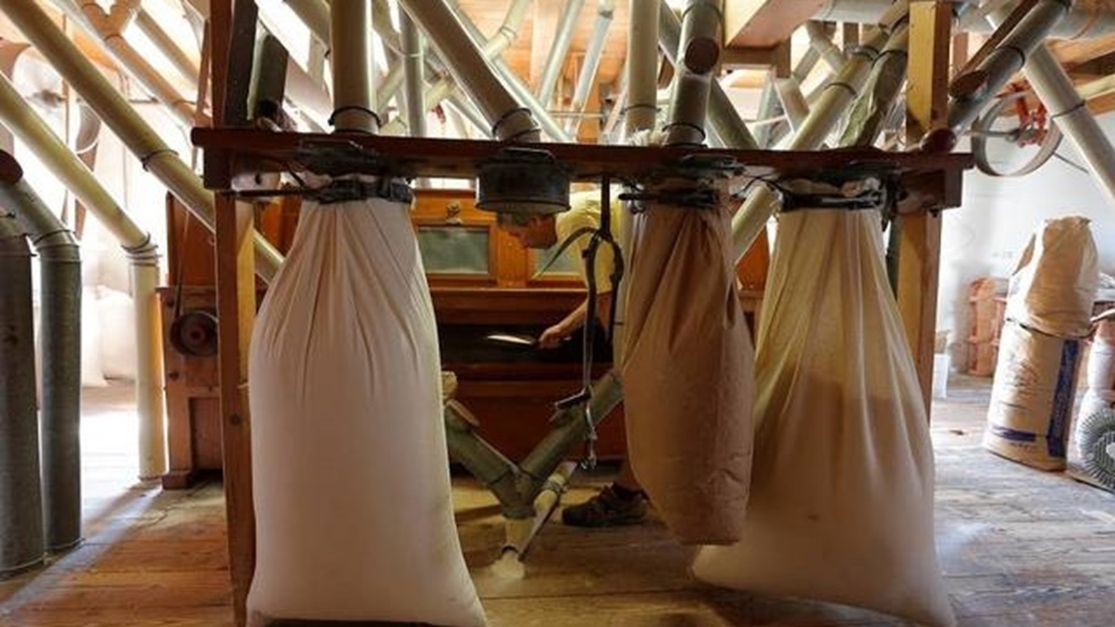 مطاحن مصر الوسطى