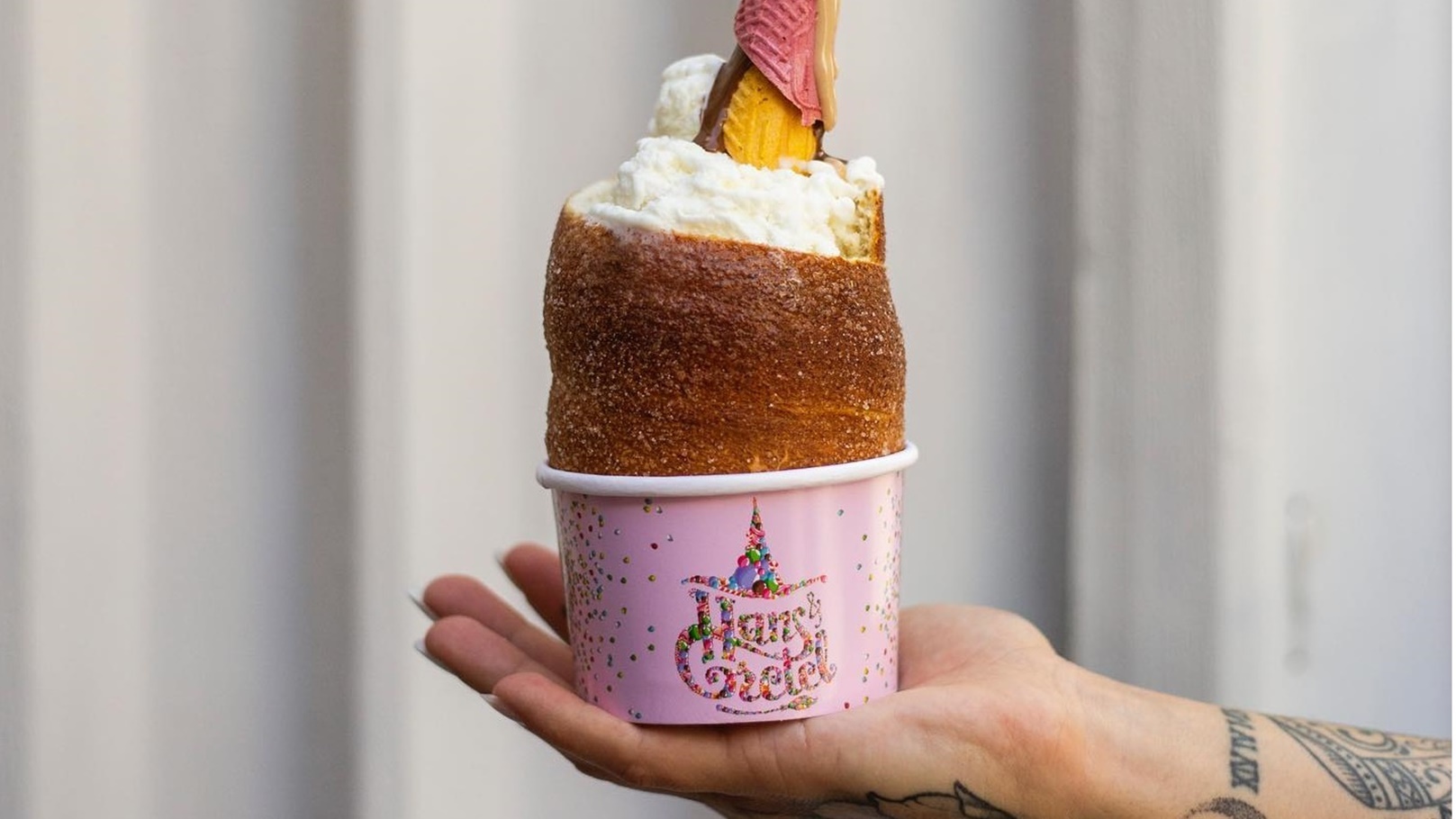 346483968_1048431562793498_2046648874616217439_n