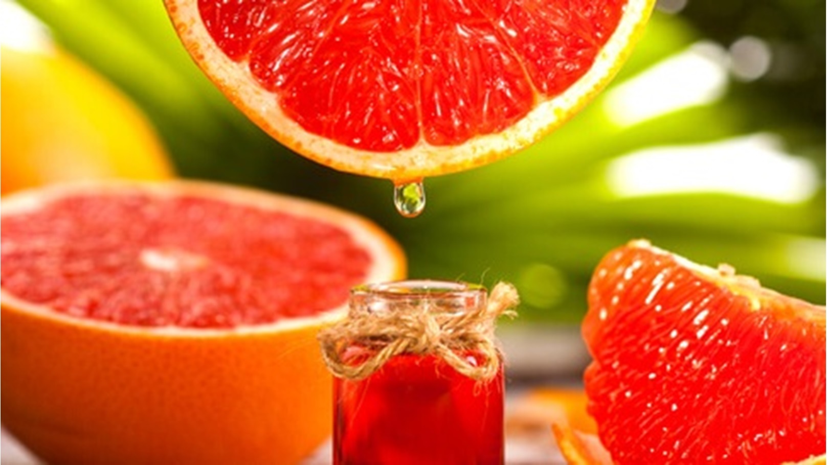 tbl_articles_article_22917_589fa535b21-e2c9-4c4c-ad58-65546722ffc0