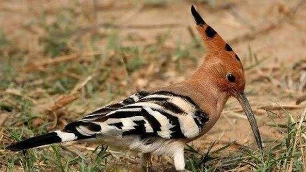 EAAE4845-ADFC-4FD7-AF73-C2C0D291B94E