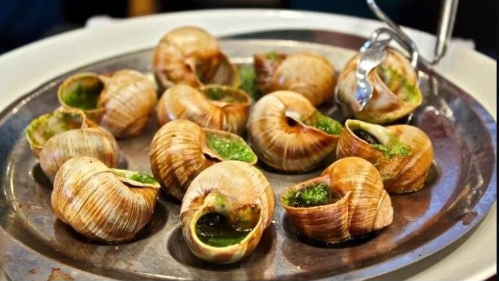 حساء الحلزون المغربي