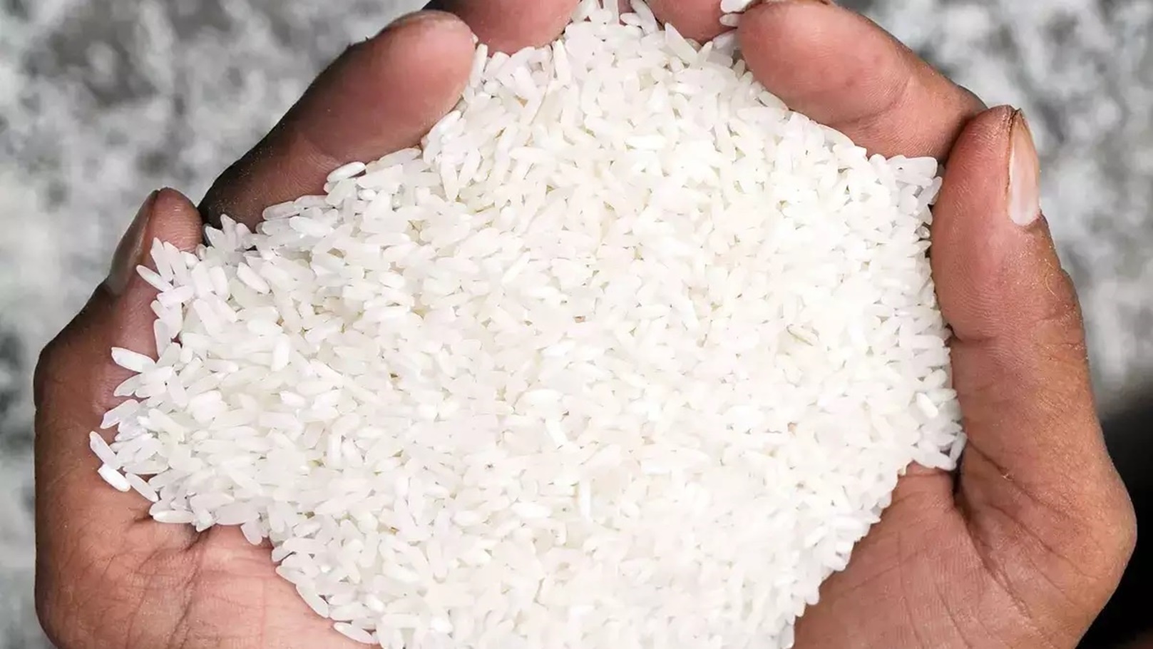 الأرز من أهم محاصيل الحبوب الرئيسية في مصر