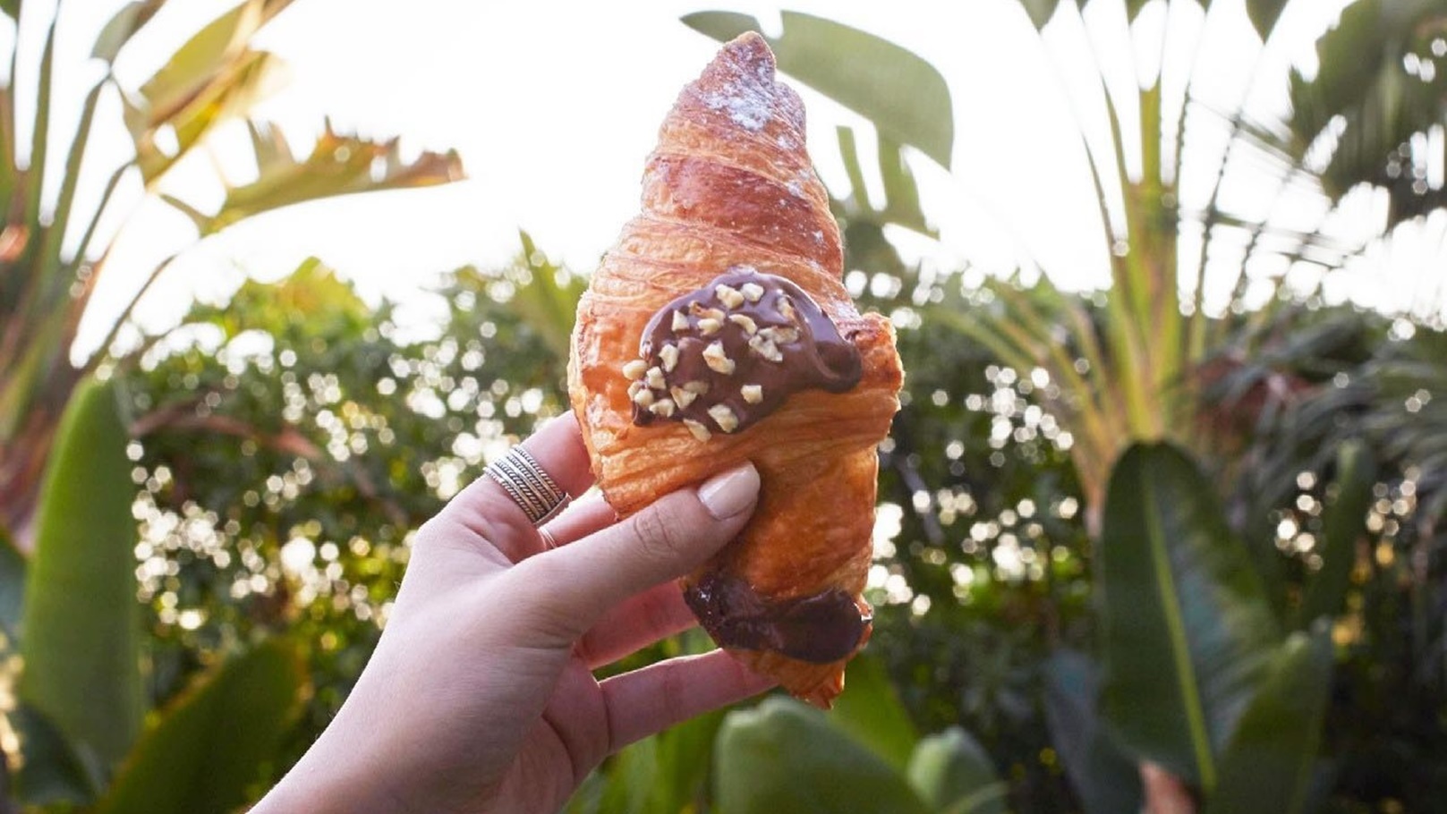 208325495_4276394395743902_434974340159801173_n