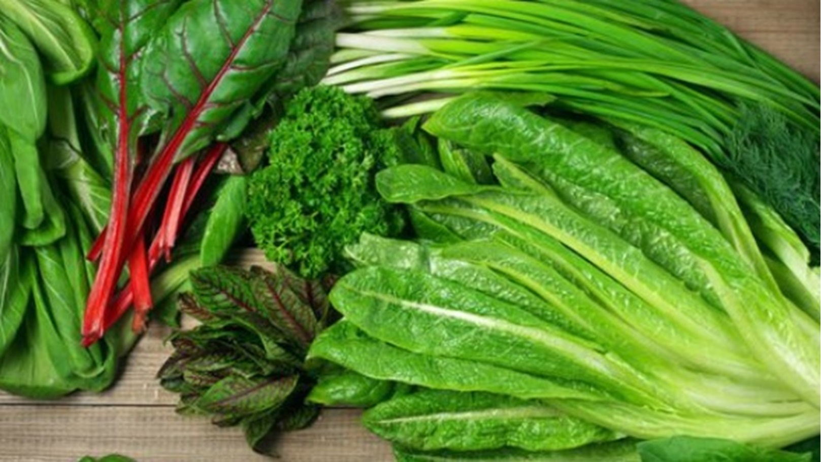 طريقة-حفظ-الخضروات-الورقية-في-الفريزر