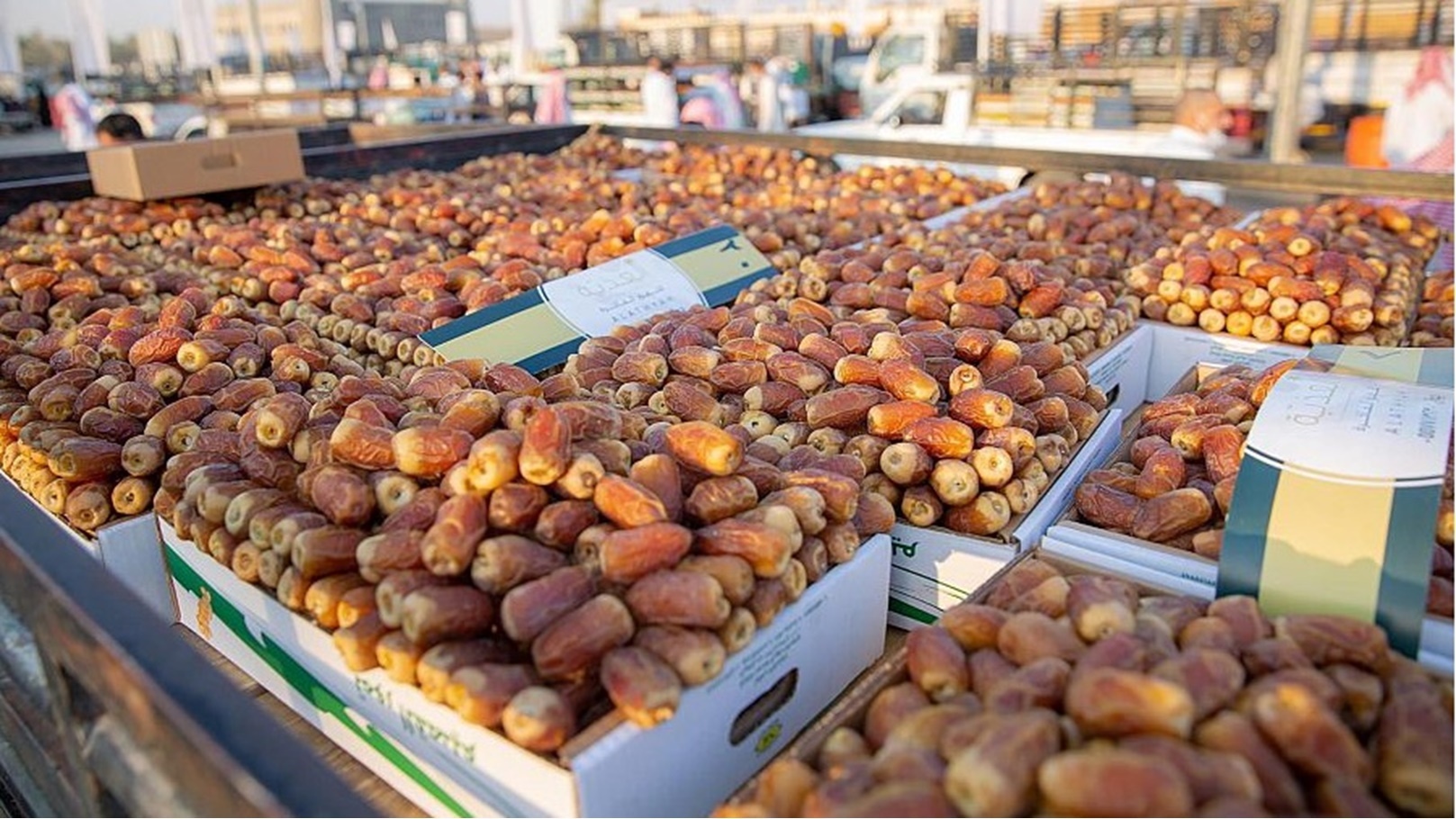 مهرجان التمور