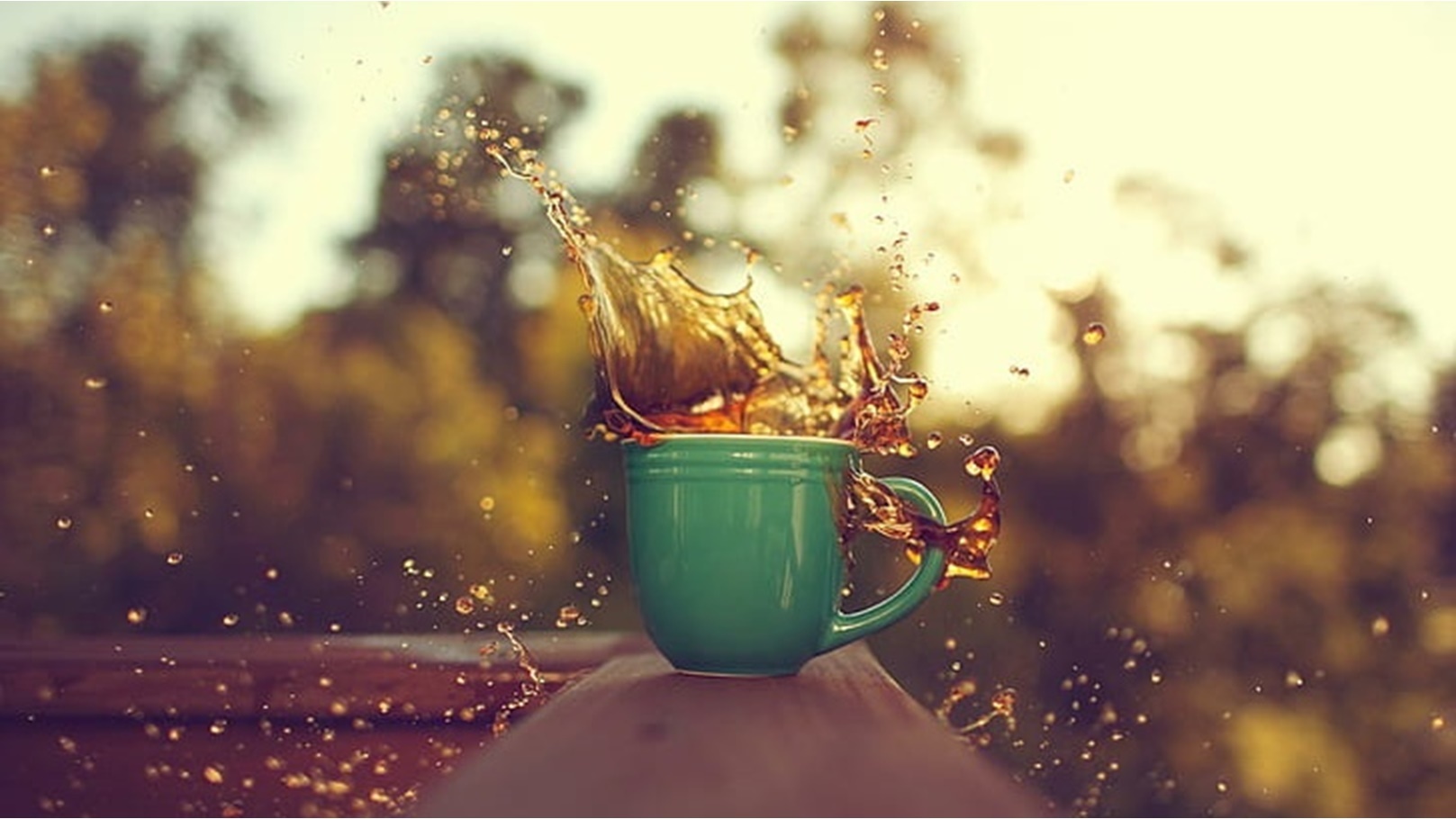 دلق القهوة خير