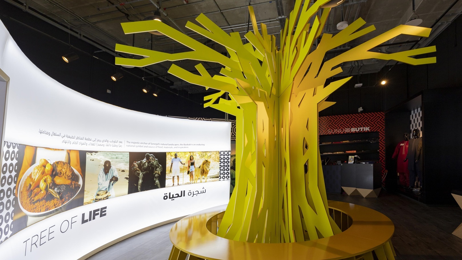 شجرة الحياة