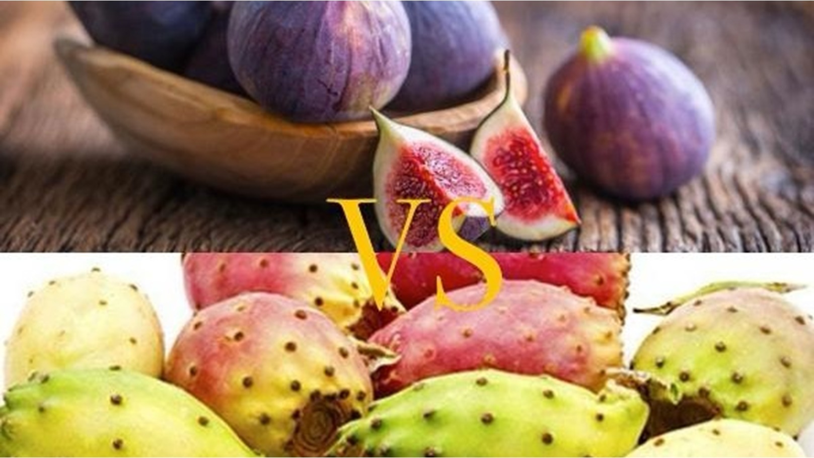 WhatsApp Image 2022-08-07 at 3.22.09 PM