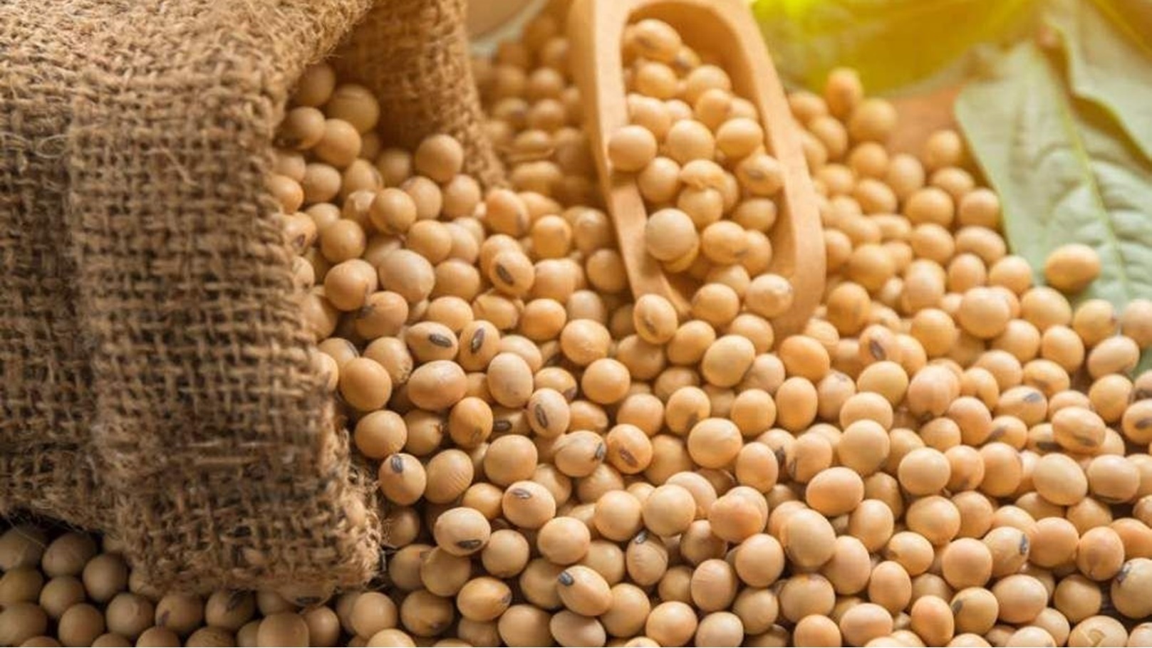 a272d26f7816b1486ee30cd8c4b8c6c7