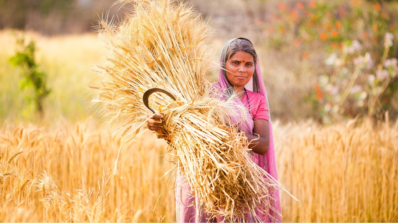 Depositphotos_25479319_xl-2015