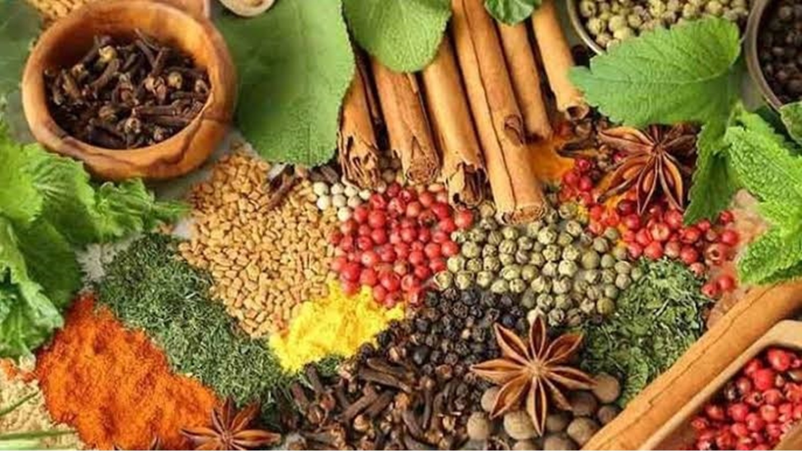 ea5cc273-f2f6-4fb8-9170-0c7cb06b258e