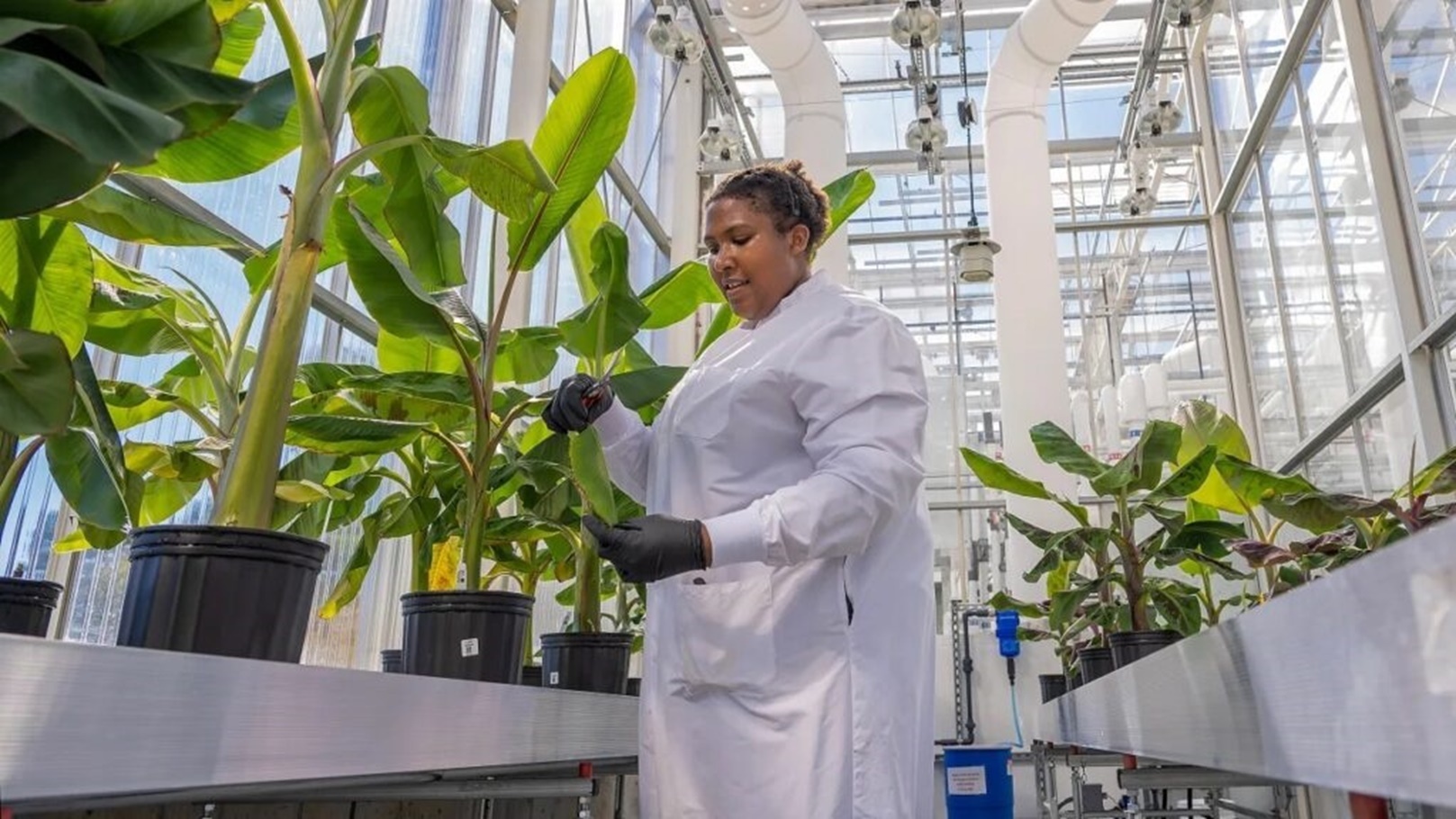 p-90849025-elo-life-systems-1024x576