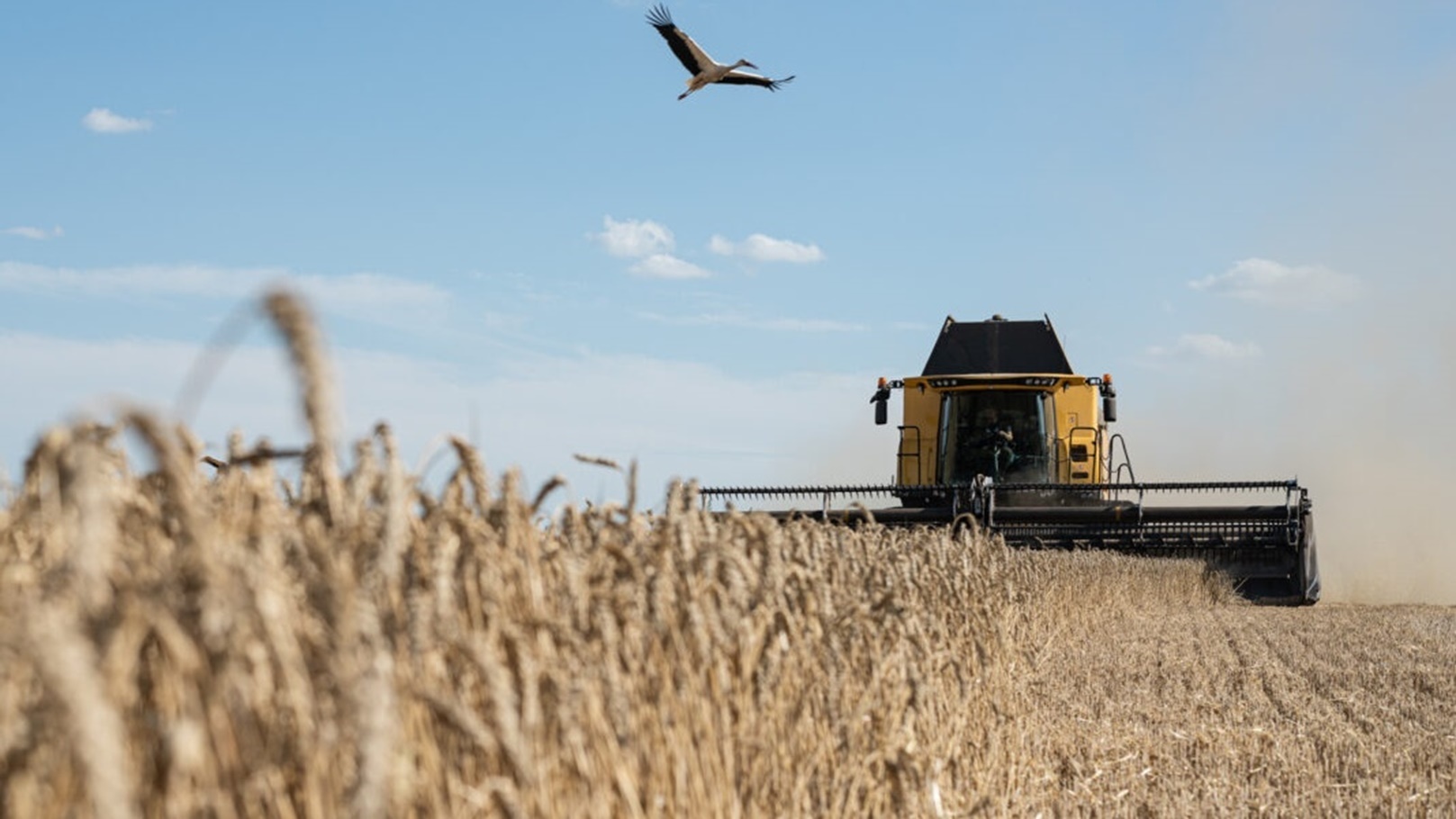 UN-Black-Sea-Grain-Initiative-Ukraine-GettyImages-1242186203-1068x713