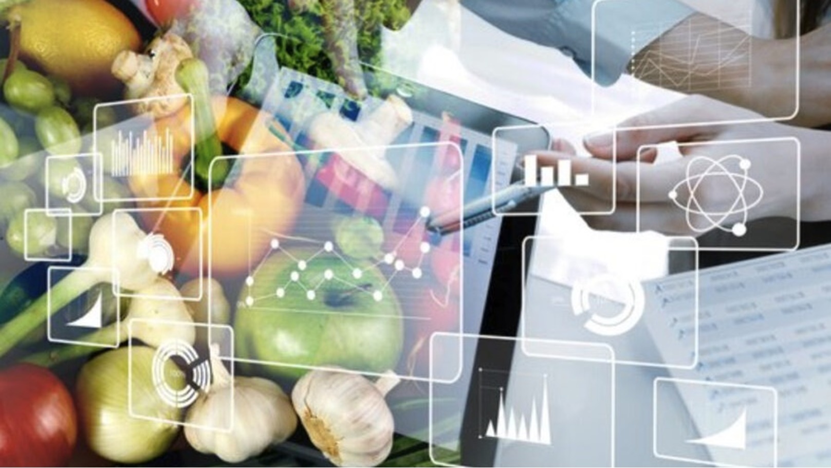 استخدام التكنولوجيا