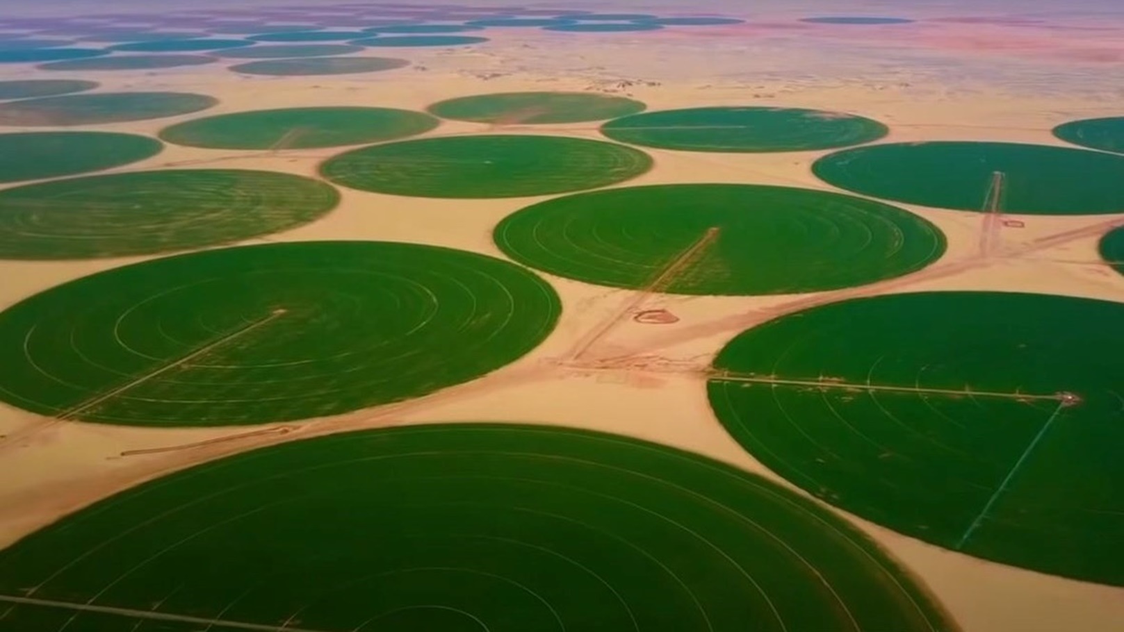 82144Image1-1180x677_d