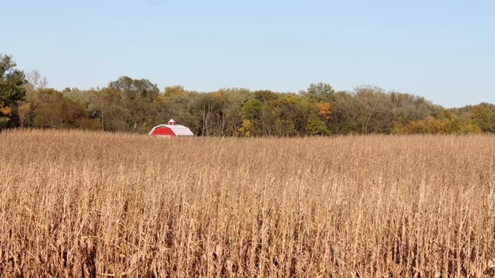 09511258-e84c-4651-94d9-e637aa7835ec