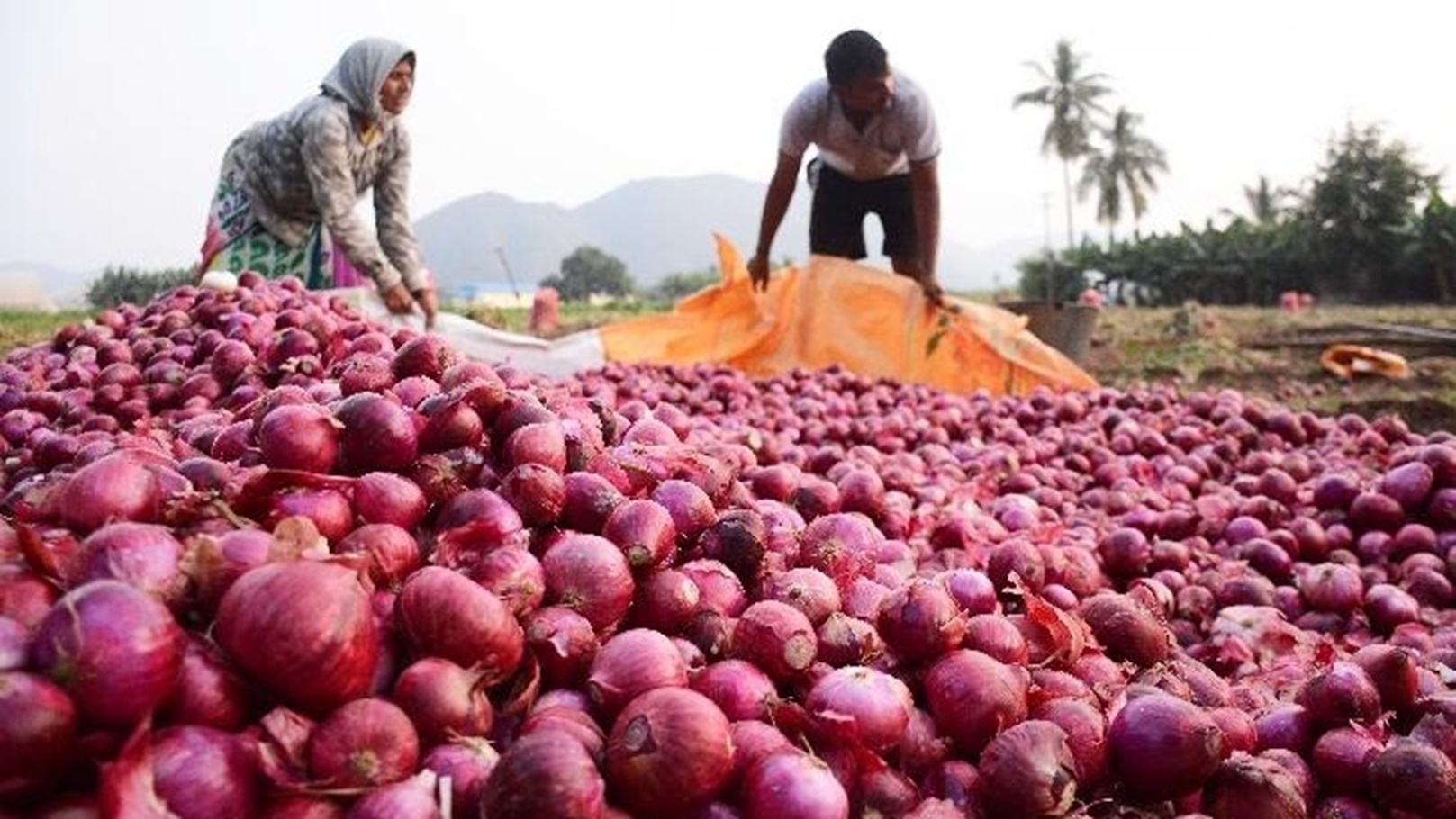 627EC81F-08EA-40CF-A1CC-8E01095CD6CA_5f605e6769d0c