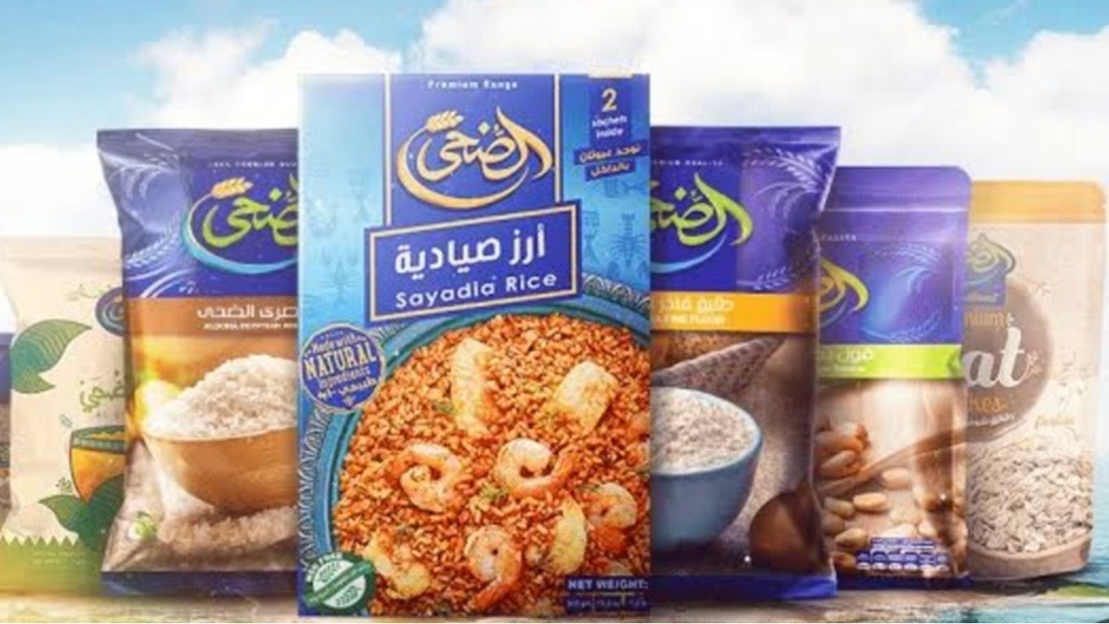 Screenshot_٢٠٢٤٠٨١٨_١٨٢٤٣١