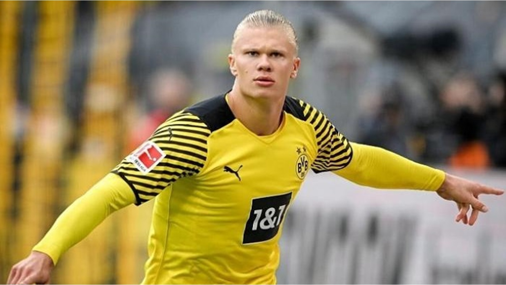 ايرلينغ هالاند