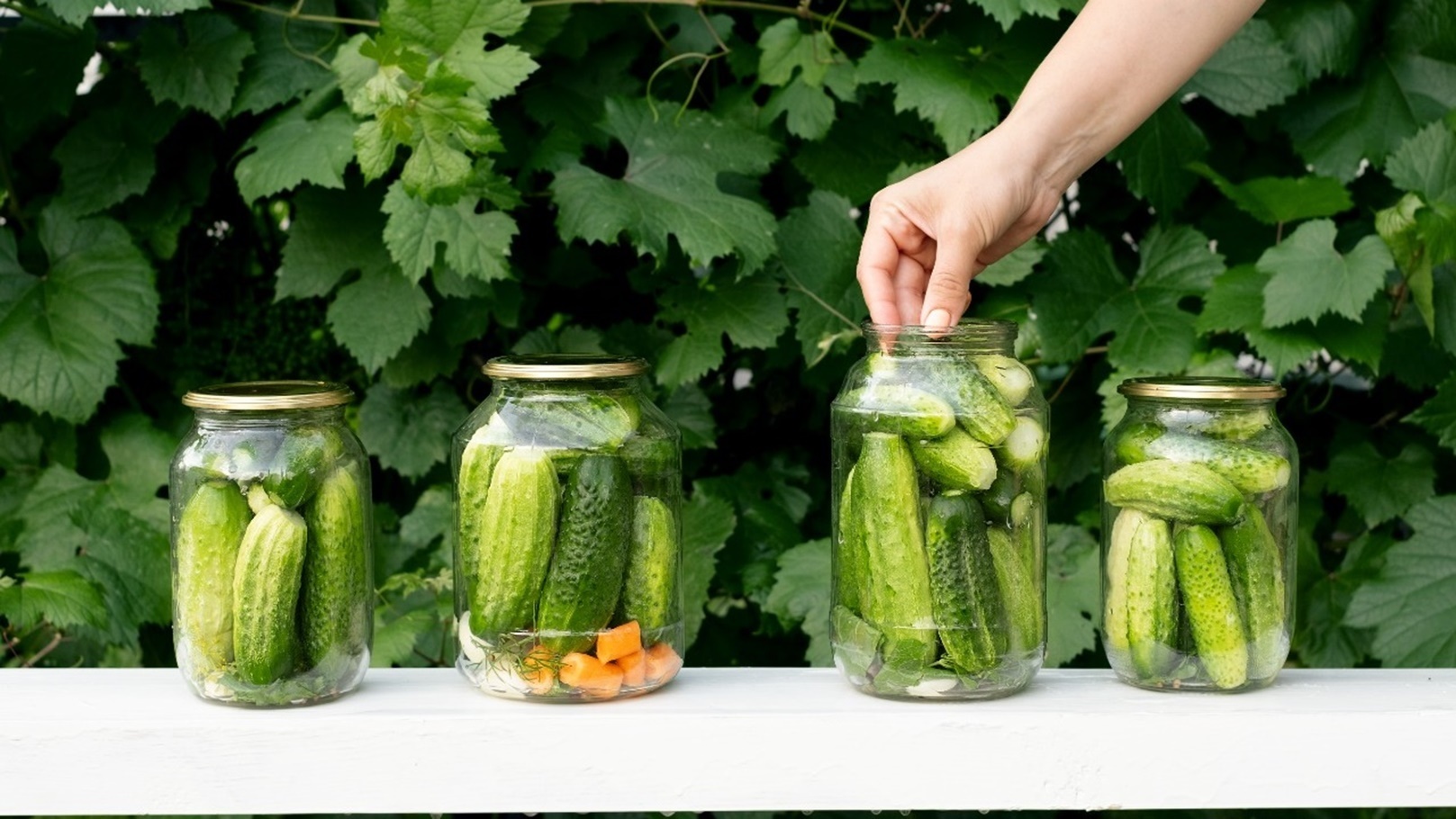 مياه المخلل