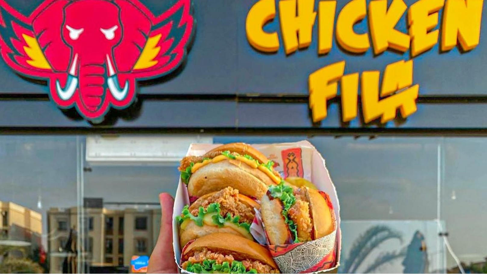 بوكس الغابة من تشيكن فيلا