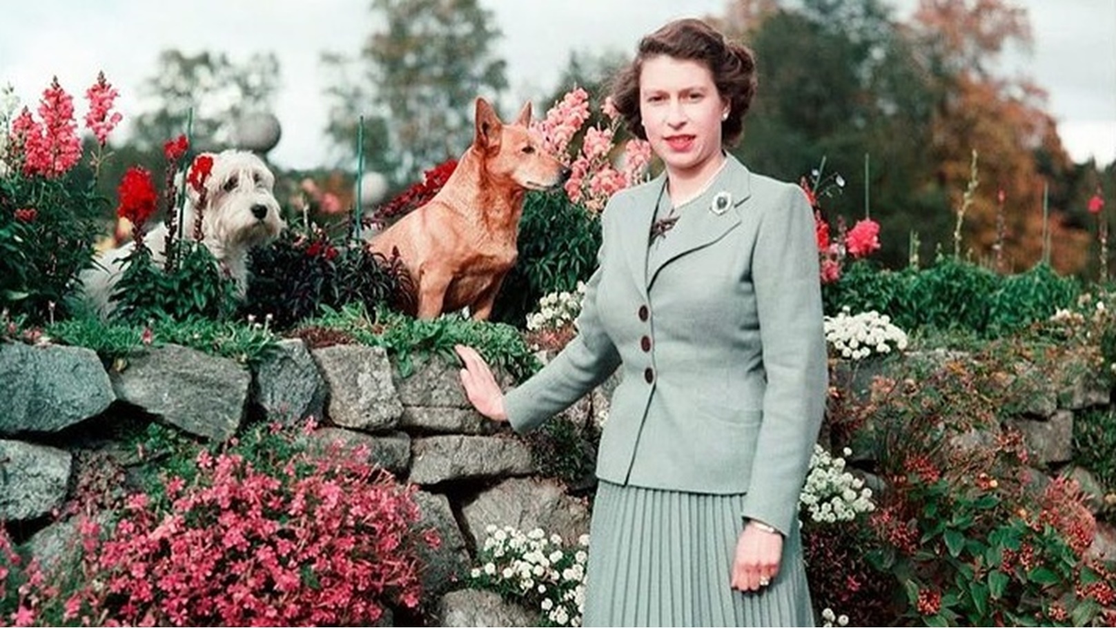 الملكة اليزابيث