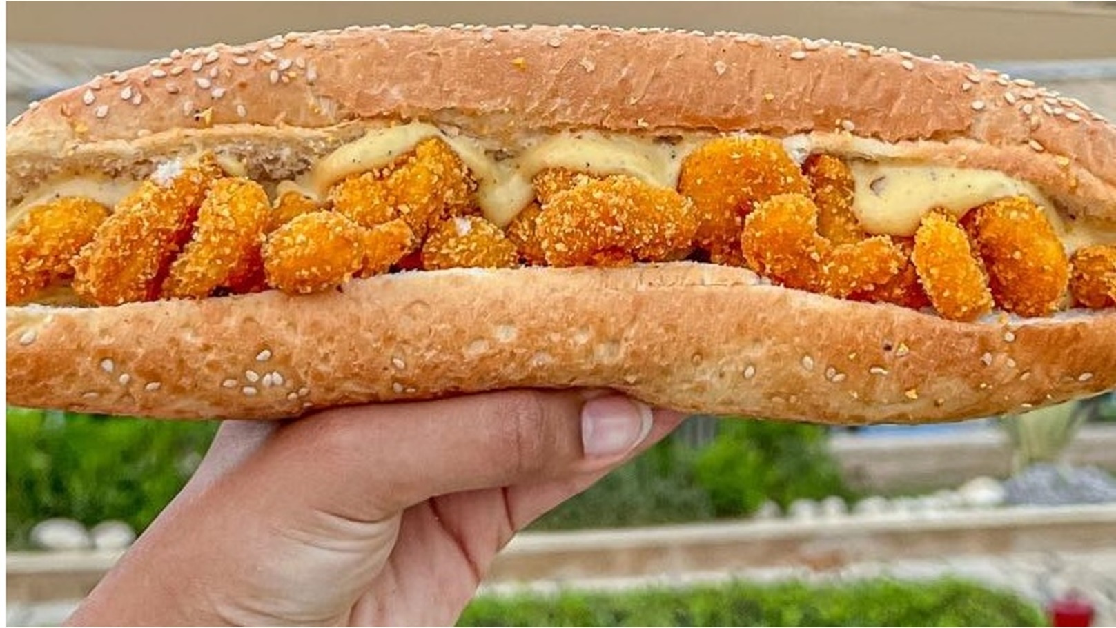 307685274_619445523257964_8640614284120366773_n