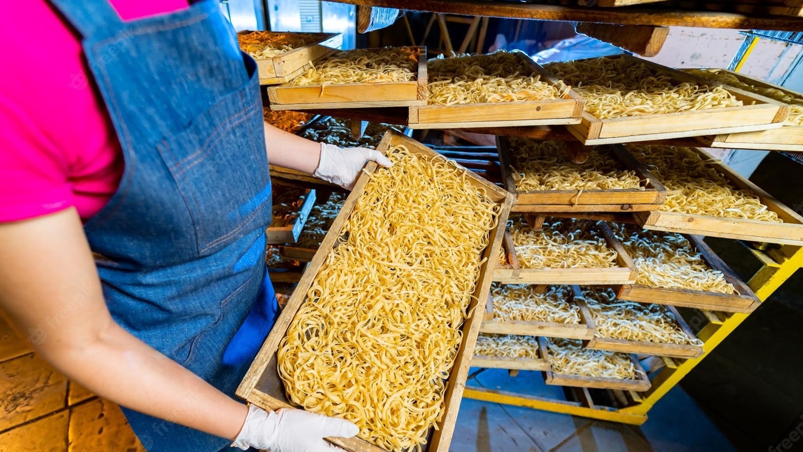 إنتاج المكرونة