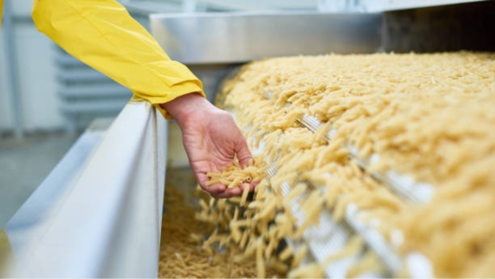 مصنع مكرونة