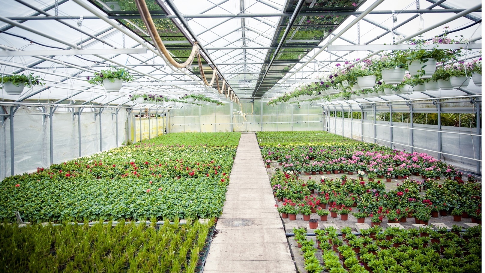 agriculture-2022-03-07-07-21-51-utc