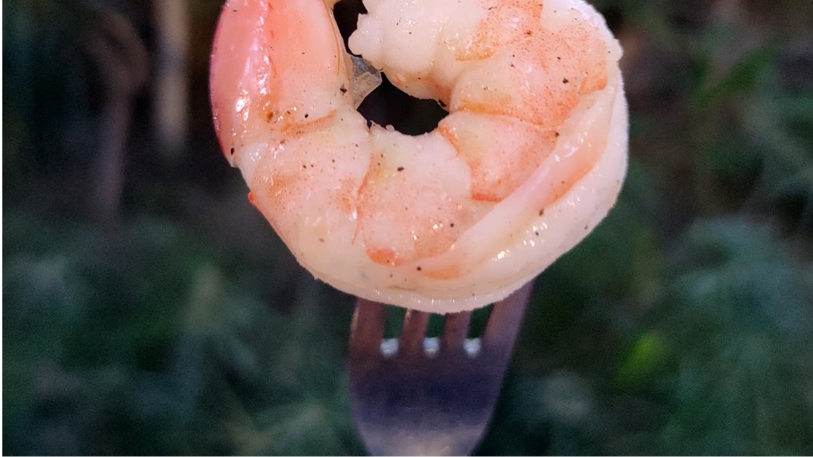 195432164_324757755883594_2563575728072048285_n