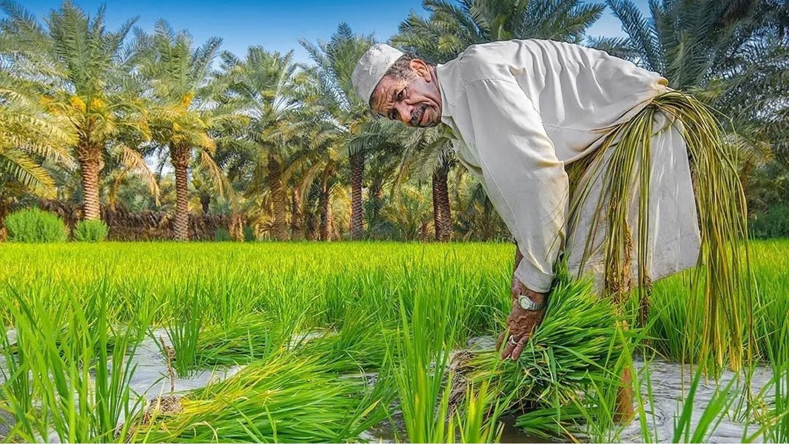 e85a9801-87a3-485d-a5a0-1eb22a6ccbec