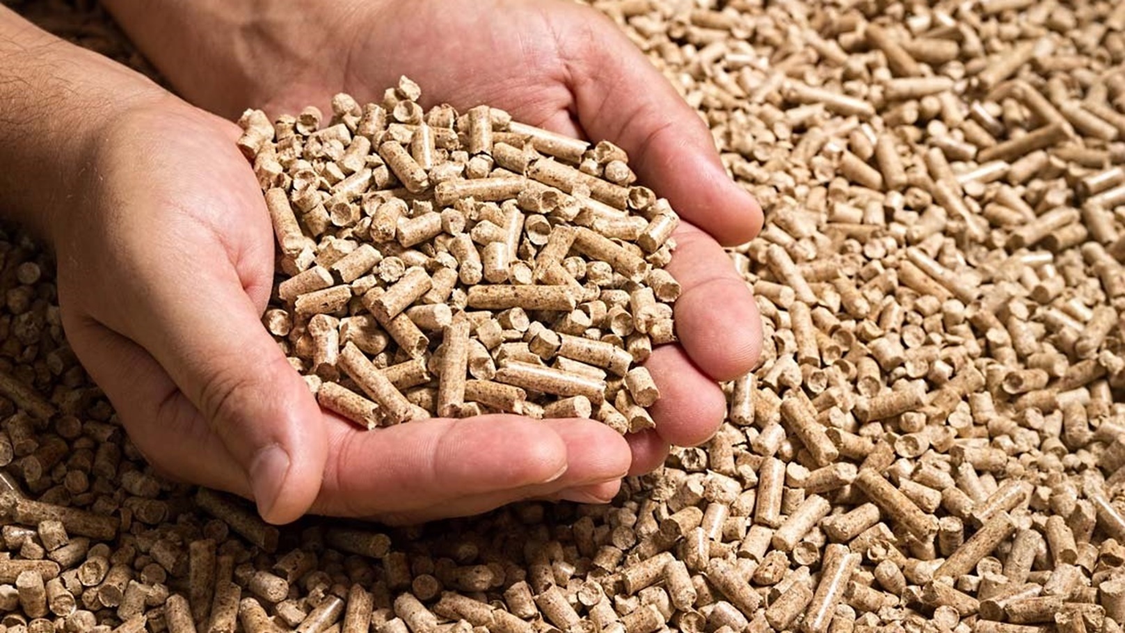 wood-pellets-handful
