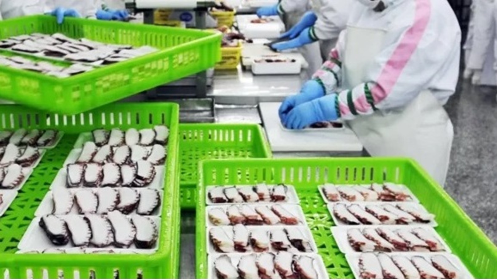 f8ec5702-cbf4-4e10-93cc-e82342b074d9